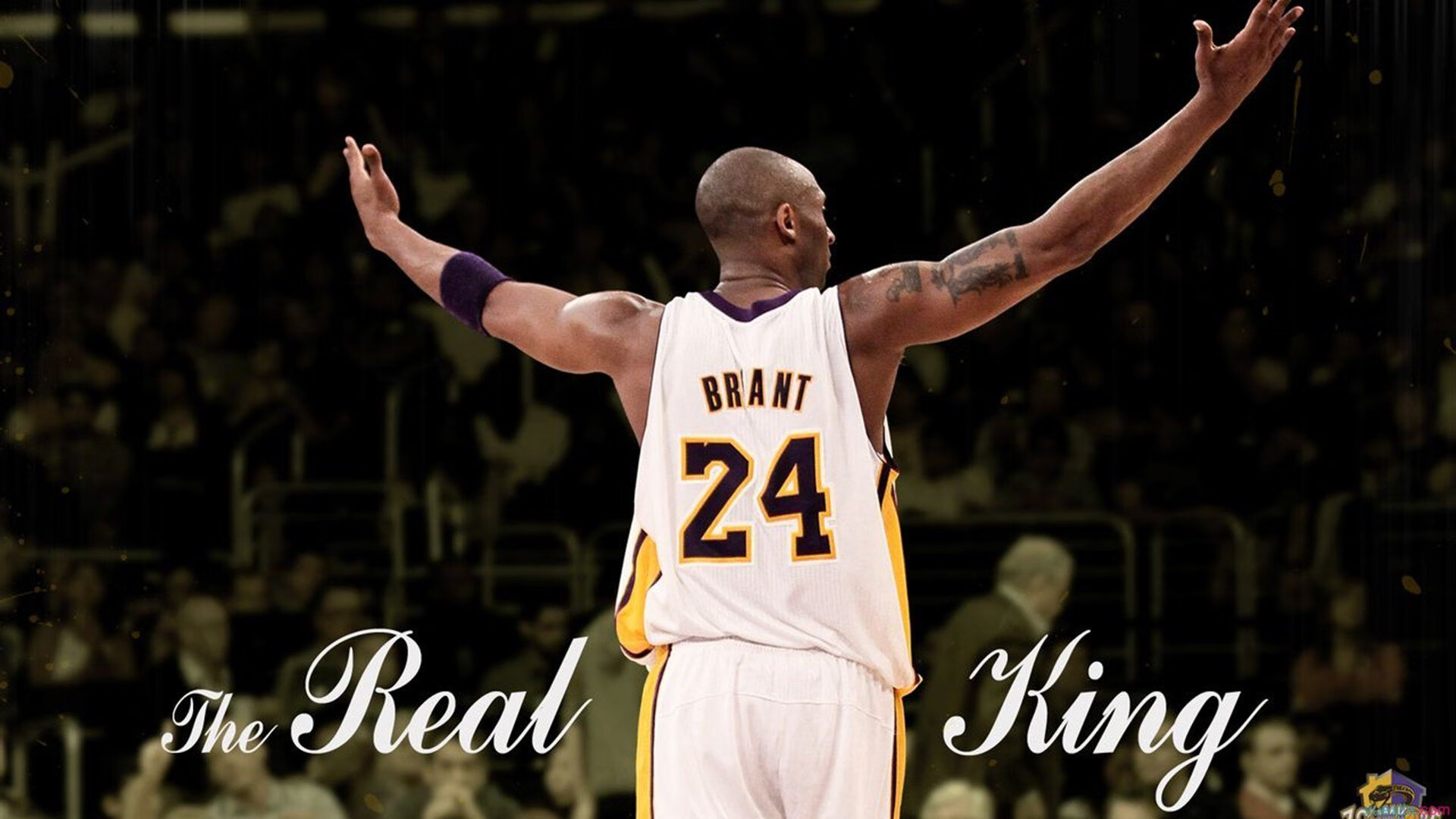 全员参战:年轻球员如何在关键时刻挺身而出?,全面球员